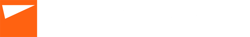 LOGO PROJEKTERFOLG weiss